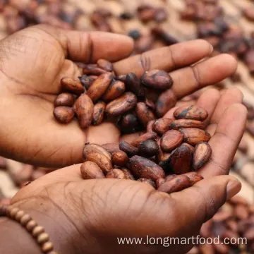 Energizing Premium Arabica Green Coffee Bean Cocoa Mix